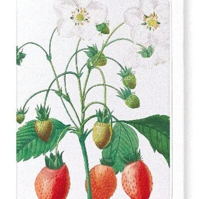 STRAWBERRY (DETAIL): Greeting Card