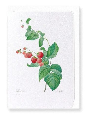 FRAMBOISE (DÉTAIL): Carte de vœux 3