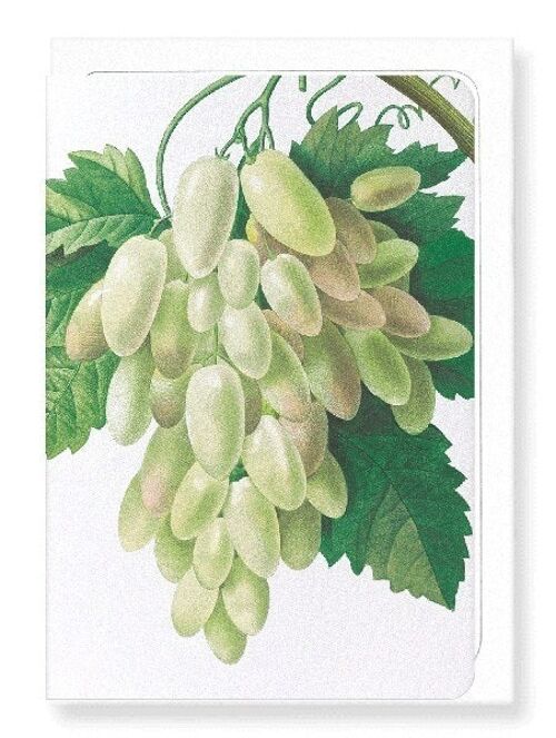 GRAPES AND VINE LEAVES (DETAIL): Greeting Card