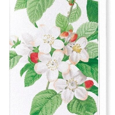 FLORES MALI OF THE APPLE TREE (DETAIL): Greeting Card