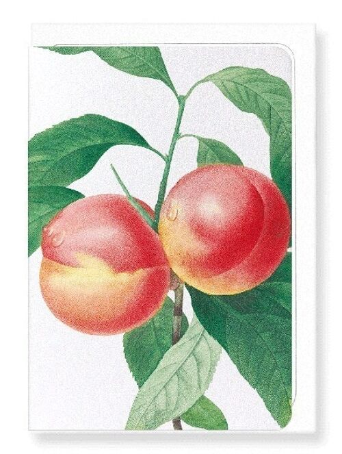 PEACH NO.2 (DETAIL): Greeting Card