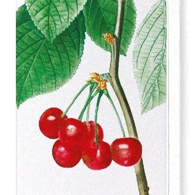 CHERRIES (DETAIL): Greeting Card