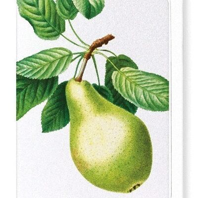 PEAR NO.1 (DETAIL): Greeting Card