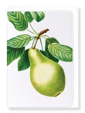 POIRE NO.1 (DÉTAIL): Carte de vœux 1