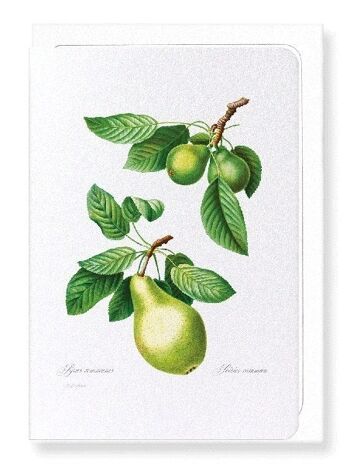 POIRE NO.1 (DÉTAIL): Carte de vœux 2