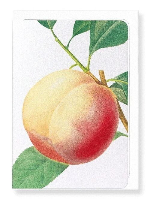 PEACH NO.1 (DETAIL): Greeting Card