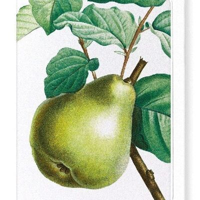 PEAR NO.2 (DETAIL): Greeting Card