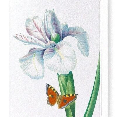 SPANISH IRIS NO.2 (DETAIL): Greeting Card