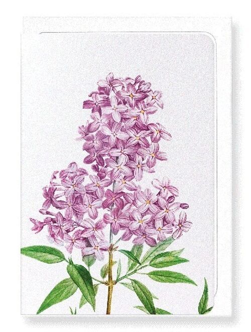 LILAC NO.3 (DETAIL): Greeting Card