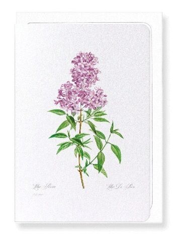 LILAS NO.3 (DÉTAIL): Carte de vœux 2