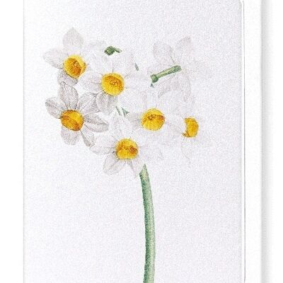 SACRED LILY (DETAIL): Greeting Card