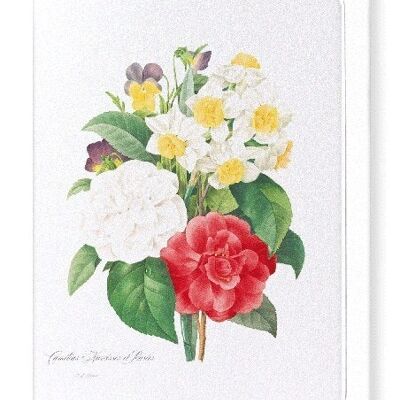 PANSIES, NARCISSUS & CAMELLIA (FULL): Greeting Card