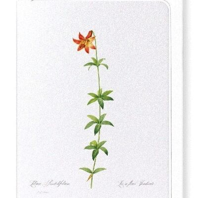 LILY (FULL): Greeting Card