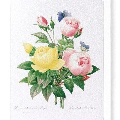 YELLOW AND PINK ROSE (FULL): Greeting Card
