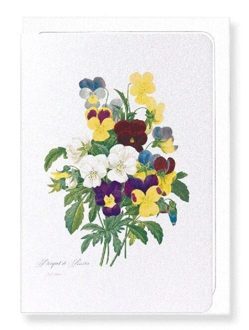 BUNCH OF PANSIES (FULL): Greeting Card