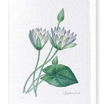 BLUE LOTUS (FULL): Greeting Card