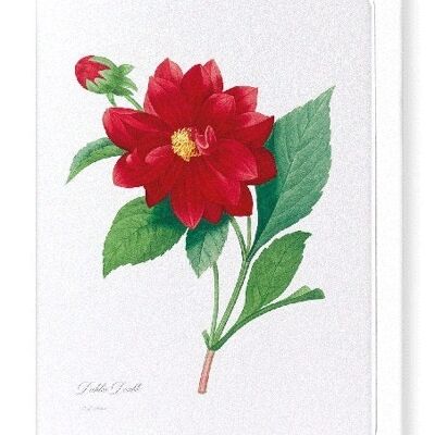 DAHLIA DOUBLE (FULL): Greeting Card