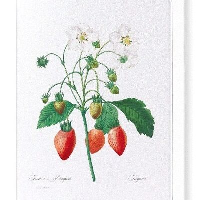 STRAWBERRY (FULL): Greeting Card