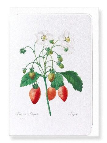 FRAISE (COMPLET): Carte de vœux 1