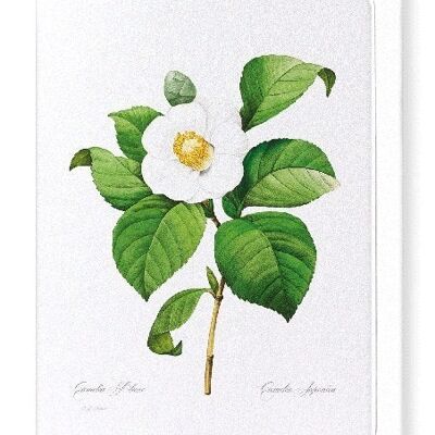 JAPANESE CAMELLIA (FULL): NO.2 Greeting Card