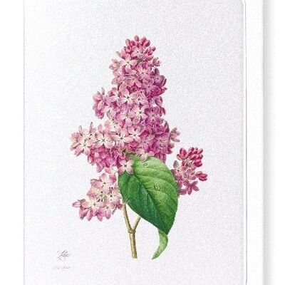 LILAC (FULL): Greeting Card