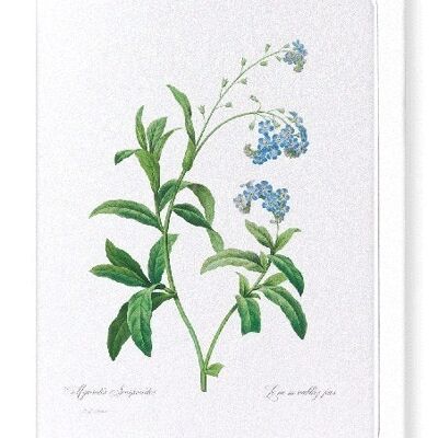 FORGET ME NOT FLOWER (FULL): Greeting Card