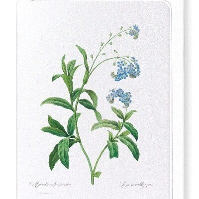 FORGET ME NOT FLOWER (FULL): Greeting Card