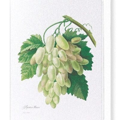 GRAPES AND VINE LEAVES (FULL): Greeting Card