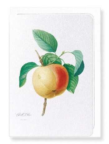 POMME CALVILLE BLANC (COMPLET): Carte de vœux 3