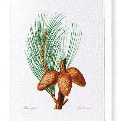PITCH PINE (FULL): Greeting Card