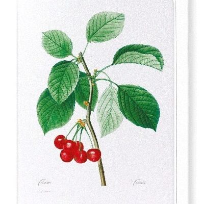 CERISES (PLEIN): Carte de vœux