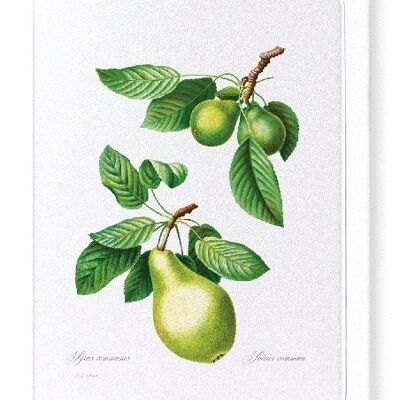 PEAR NO.1 (FULL): Greeting Card