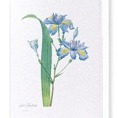 BUTTERFLY FLOWER  (FULL): Greeting Card