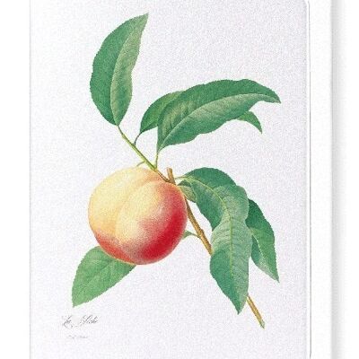 PEACH NO.1 (FULL): Greeting Card