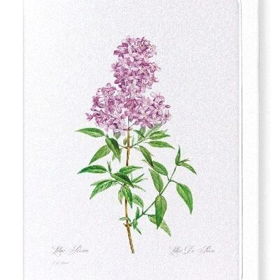 LILAS NO.3 (COMPLET): Carte de vœux