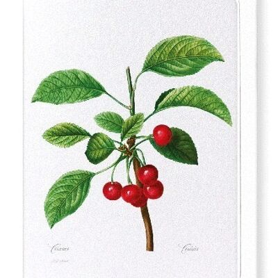 CHERRIES NO. 2 (FULL): Greeting Card