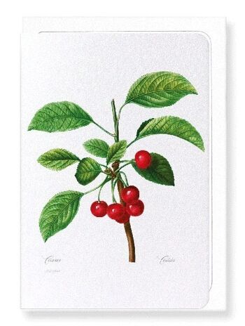 CERISES NON. 2 (COMPLET) : Carte de vœux 1