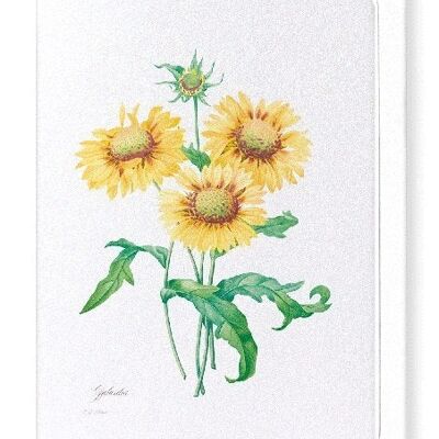 GALLARDIA COPERTA FIORE (COMPLETO): Biglietto d'auguri