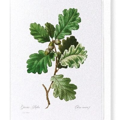 COMMON OAK (FULL): Greeting Card