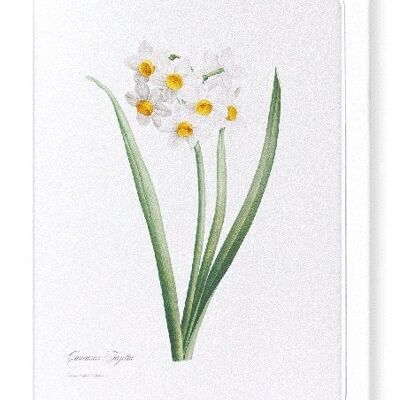 SACRED LILY (FULL): Greeting Card