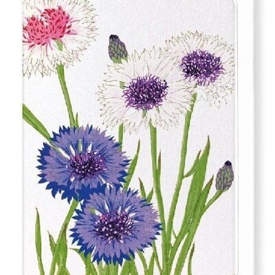 CORNFLOWER Greeting Card