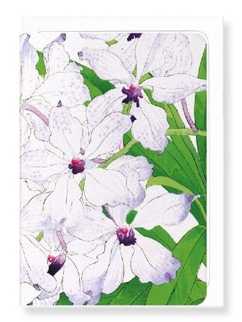 ORCHID FLOWERS Greeting Card