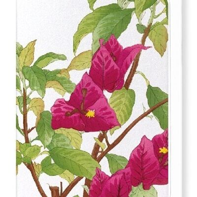 BOUGAINVILLEA-Grußkarte