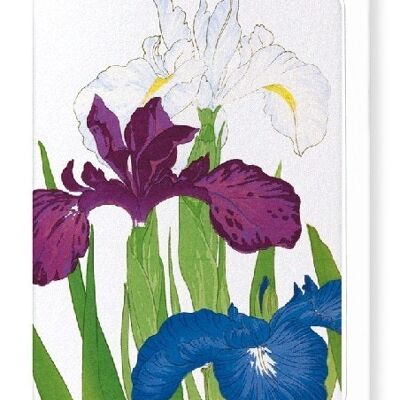 Iris Carte de vœux