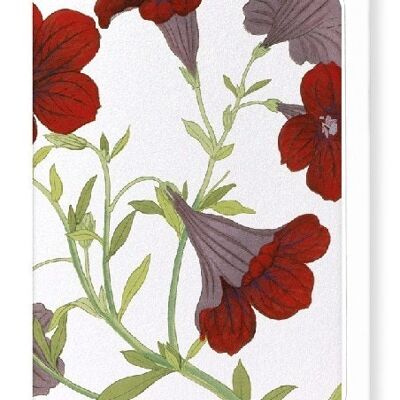 PETUNIA FLOWER Greeting Card