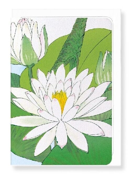 WATER LILY Greeting Card
