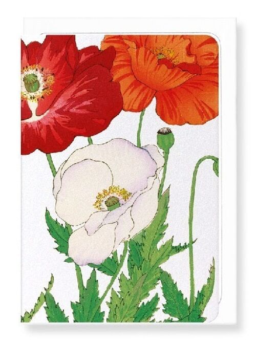 THREE POPPIES Greeting Card