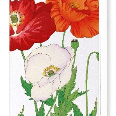 THREE POPPIES Greeting Card