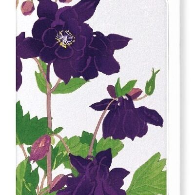 AQUILEGIA Greeting Card