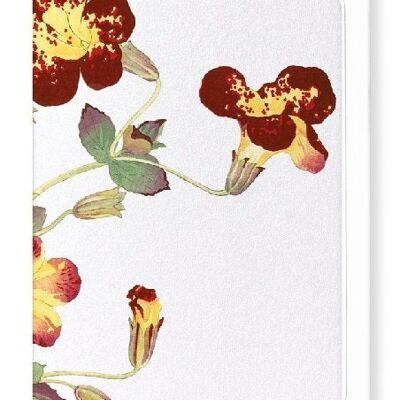 Biglietto d'auguri STUDIO FIORE